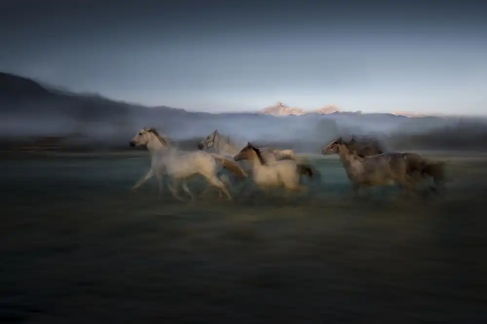 Malovrh, Milan: morning gallop