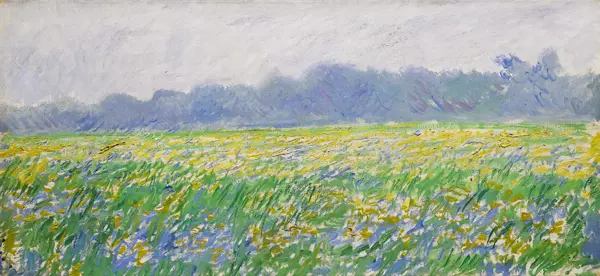Monet, Claude: Campo di iris a Giverny