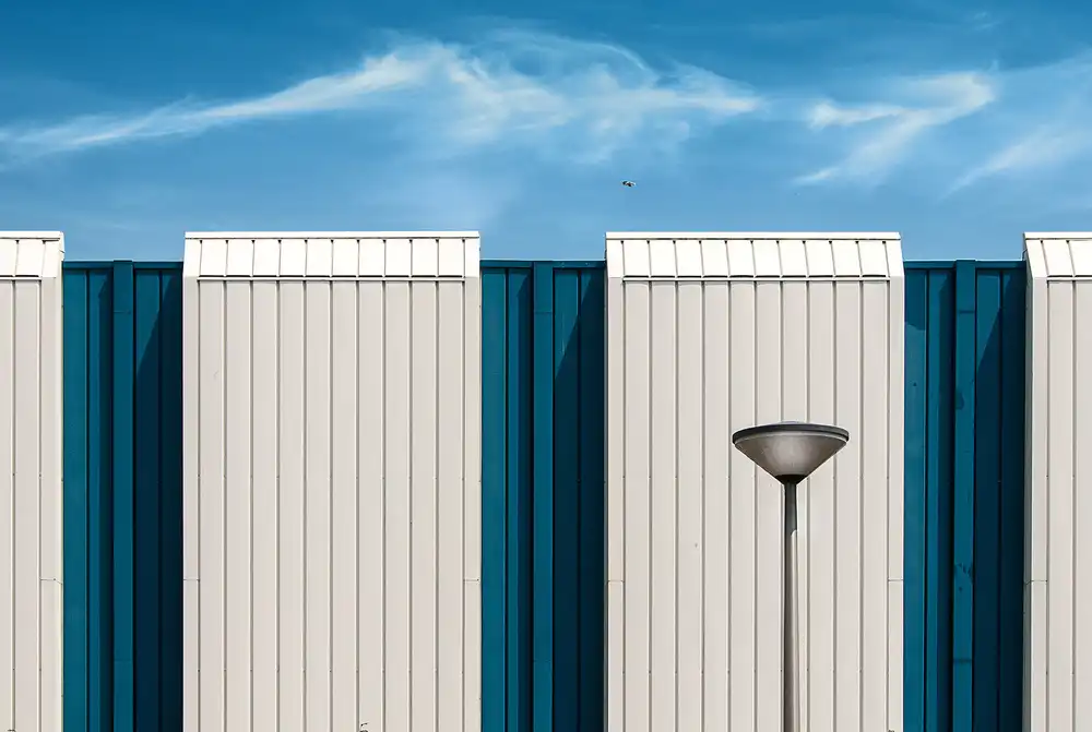 Maastricht, van Henk: Blue bird