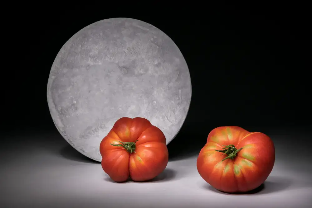 Verot, Christophe: Full moon