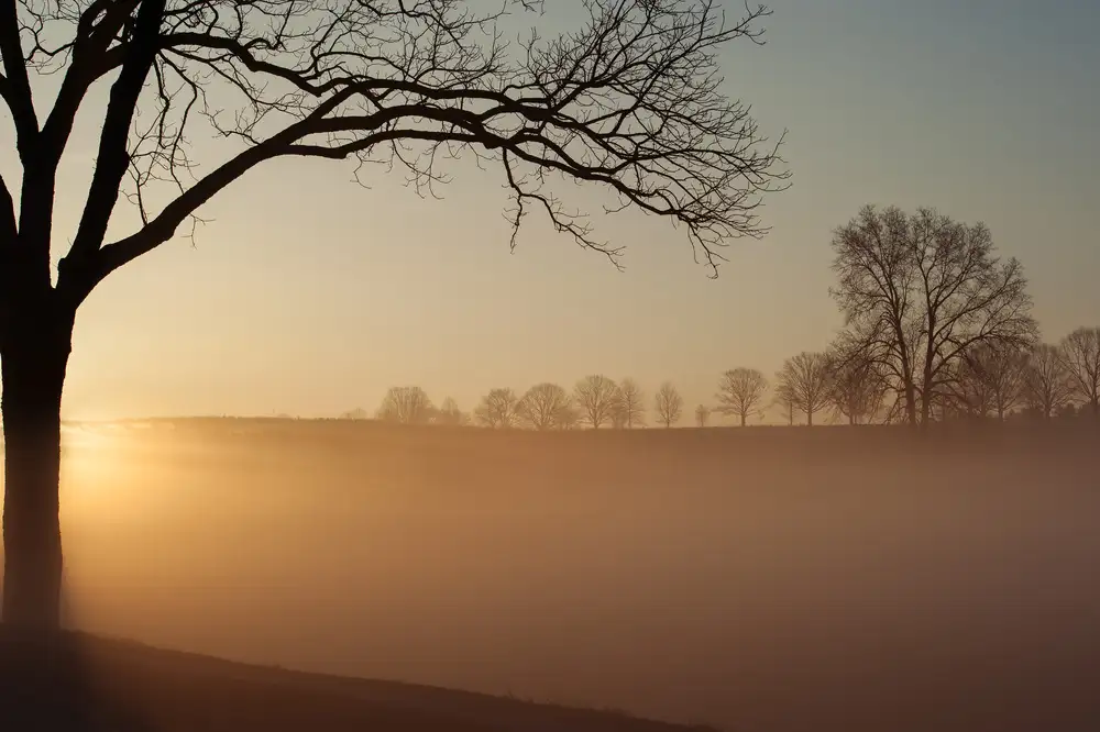 Li, Austin: Sunrise in Valley Forge National Park