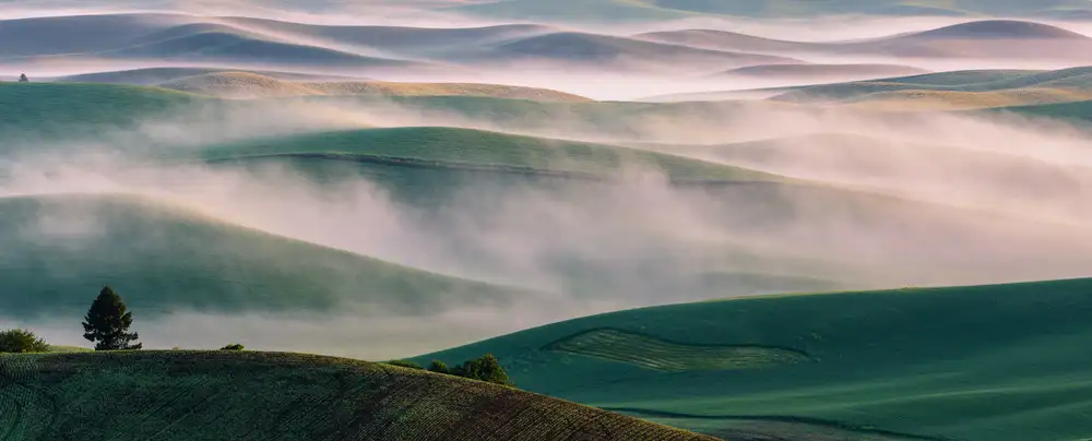 Li, Austin: Dream Land in Morning Mist-1