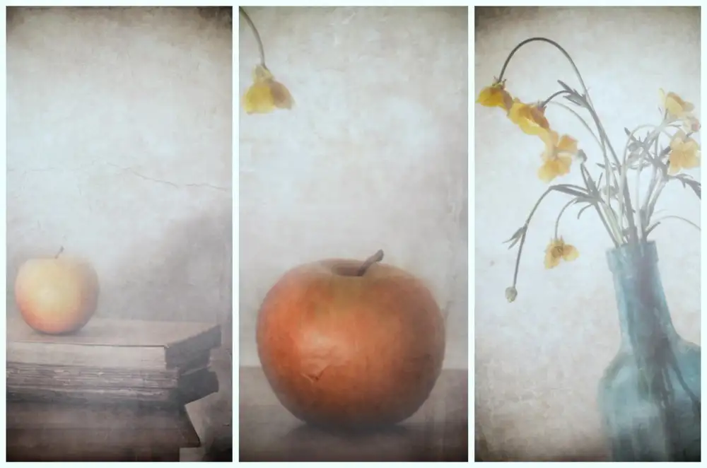 Devos, Delphine: Odpověď července (Triptych)