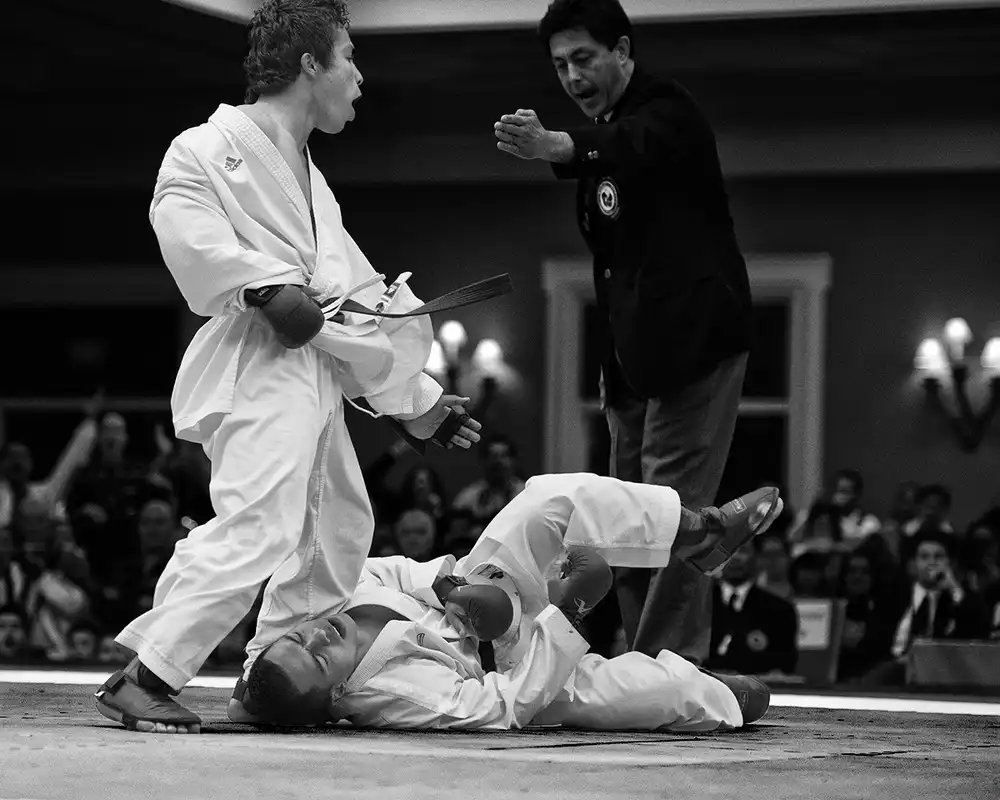 Rebro, Marcel: Kumite III - yame!
