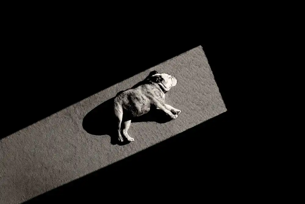 Melnotte, Mike: Solar Non-Powered