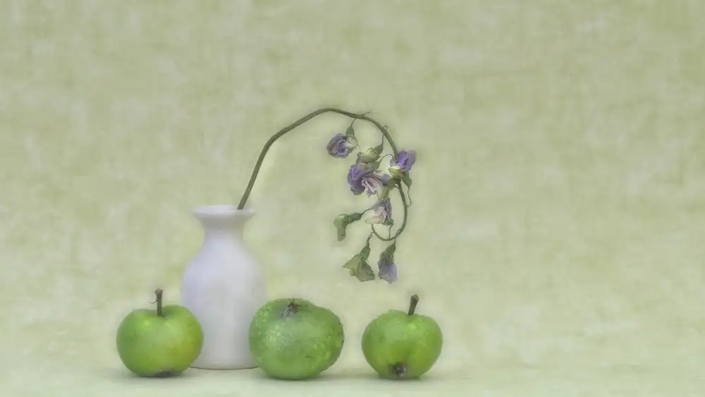 Stas, Marie-anne: Manzanas verdes