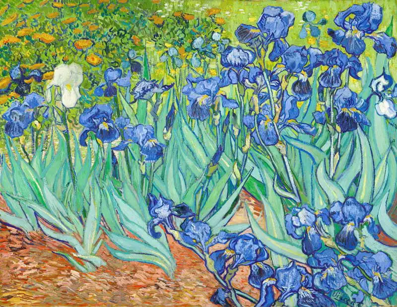 Gogh, Vincent van: Irises