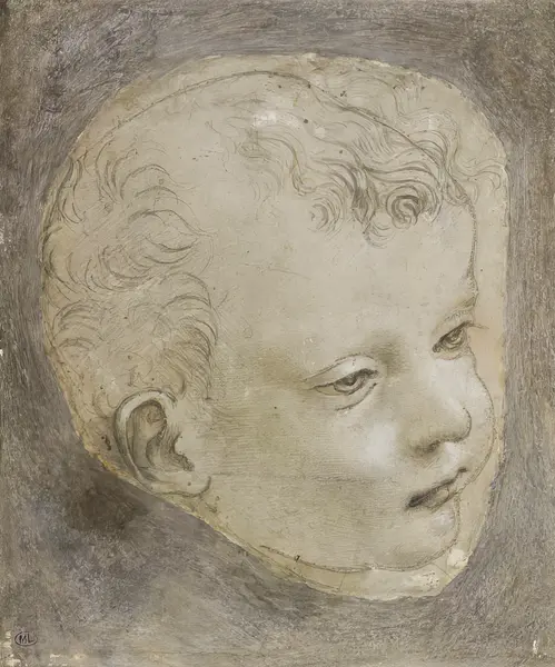 Vinci, Leonardo: La testa di un bambino
