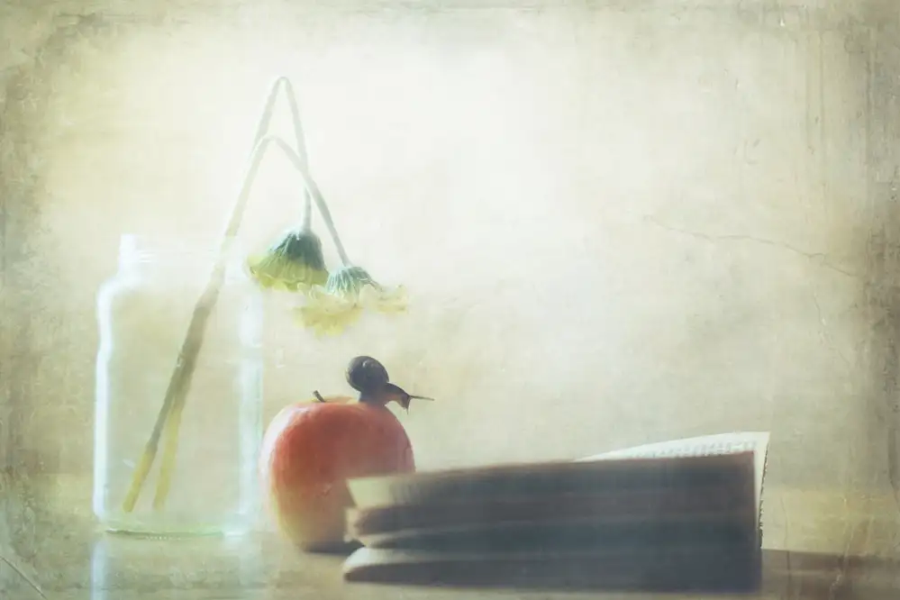 Devos, Delphine: Reading Day
