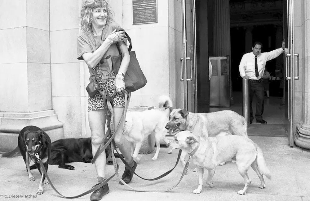 Matthes, Dieter: Dog walk (from the series Boy meets girl)