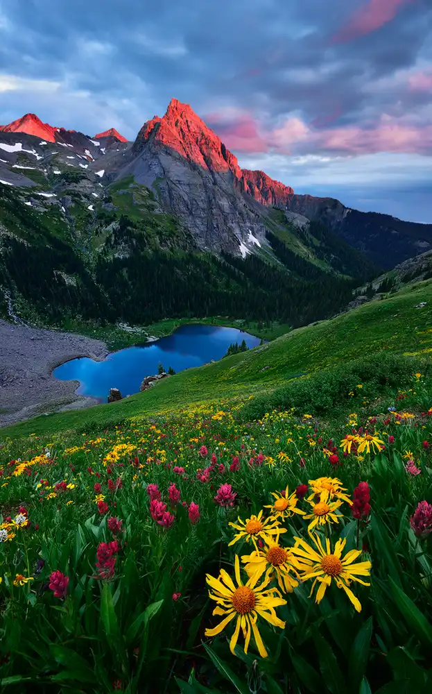 Xu, Mei: Buntes Colorado