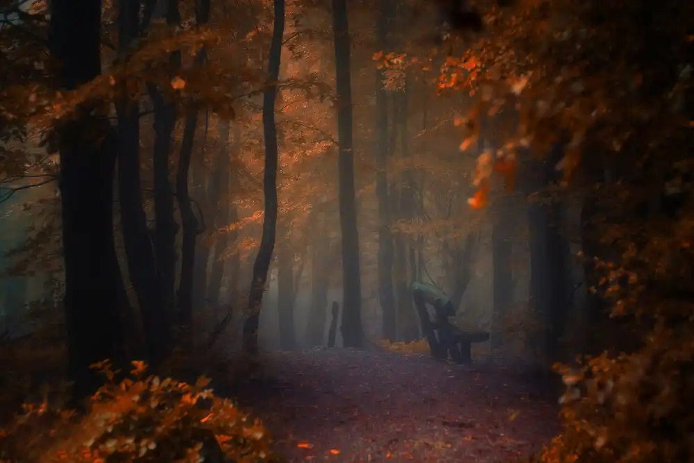 Neer, Ildiko: Deep Loneliness