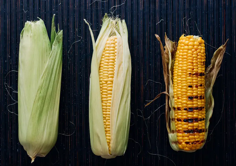 Karina, Aleksandrova: FOODprocess #1- Grilled corn