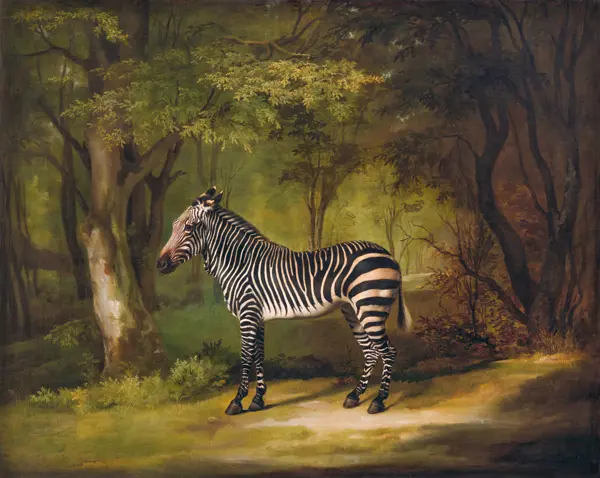 Stubbs, George: A Zebra