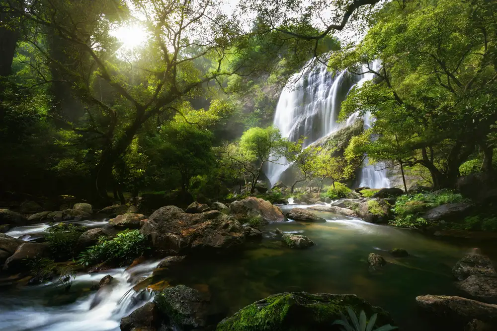 Foto, Patrick: Mountain stream