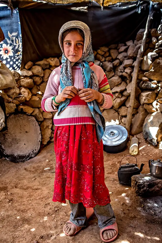Momeni, Mohammadreza: Bez názvu