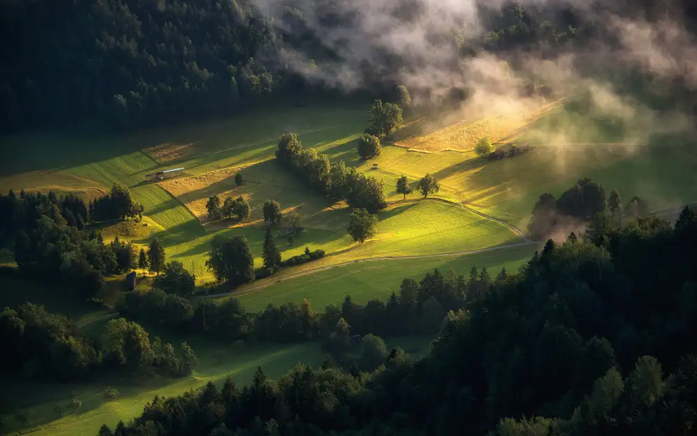 Krivec, Ales: Light and Shadow