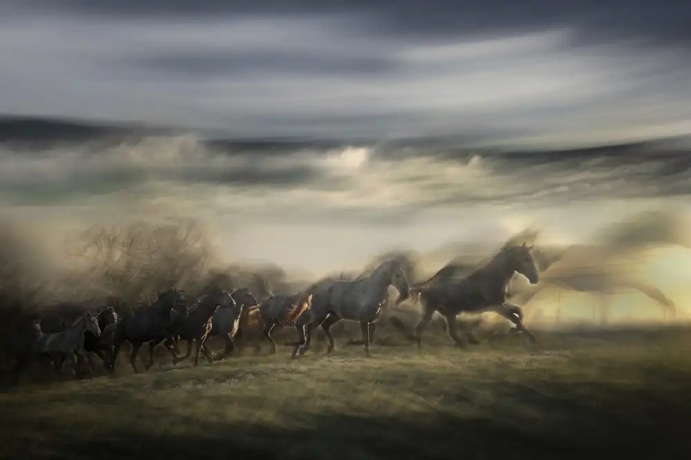 Malovrh, Milan: im Galopp