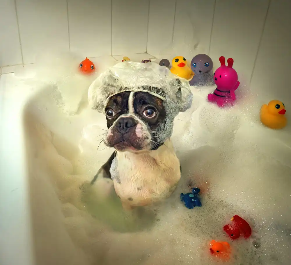 DDiArte: Il bagno