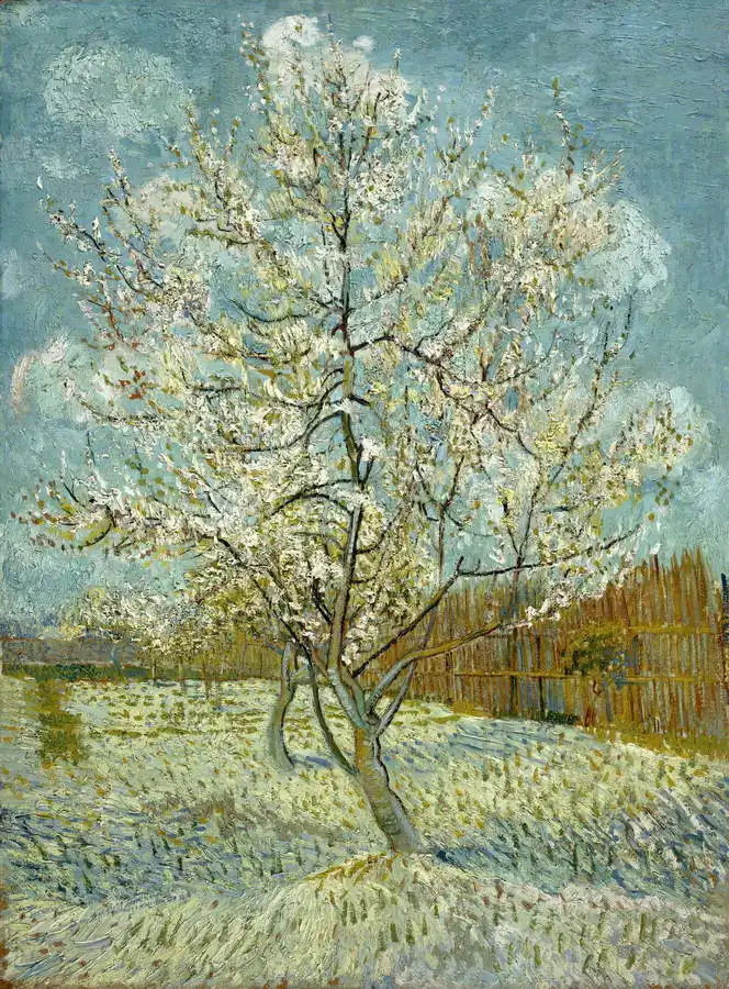 Gogh, Vincent van: Pesca in fiore