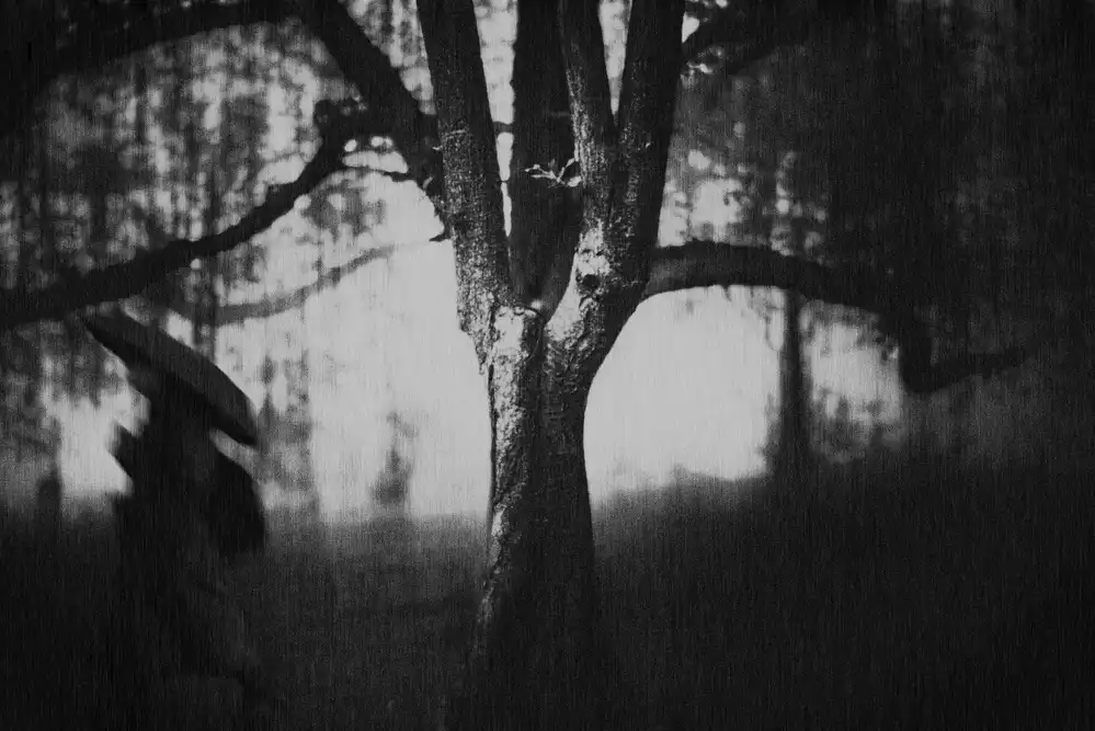 Tsuchida, Teruhiko: Arbre