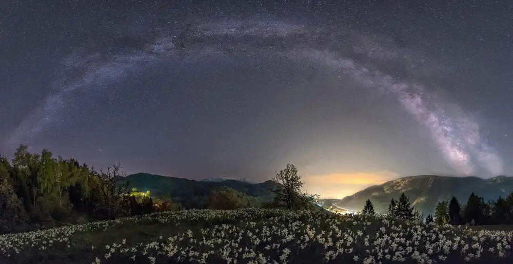 Krivec, Ales: Milky way and daffodils