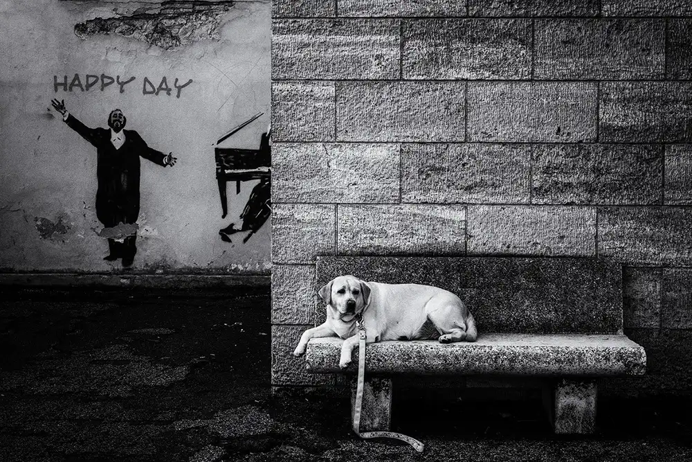 Latta, Della Massimo: Happy Day
