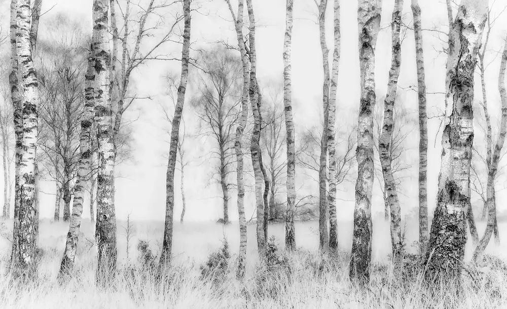 Talen, Nel: Black and white