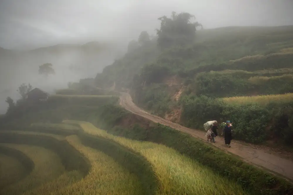 Intarob, Sarawut: Fog