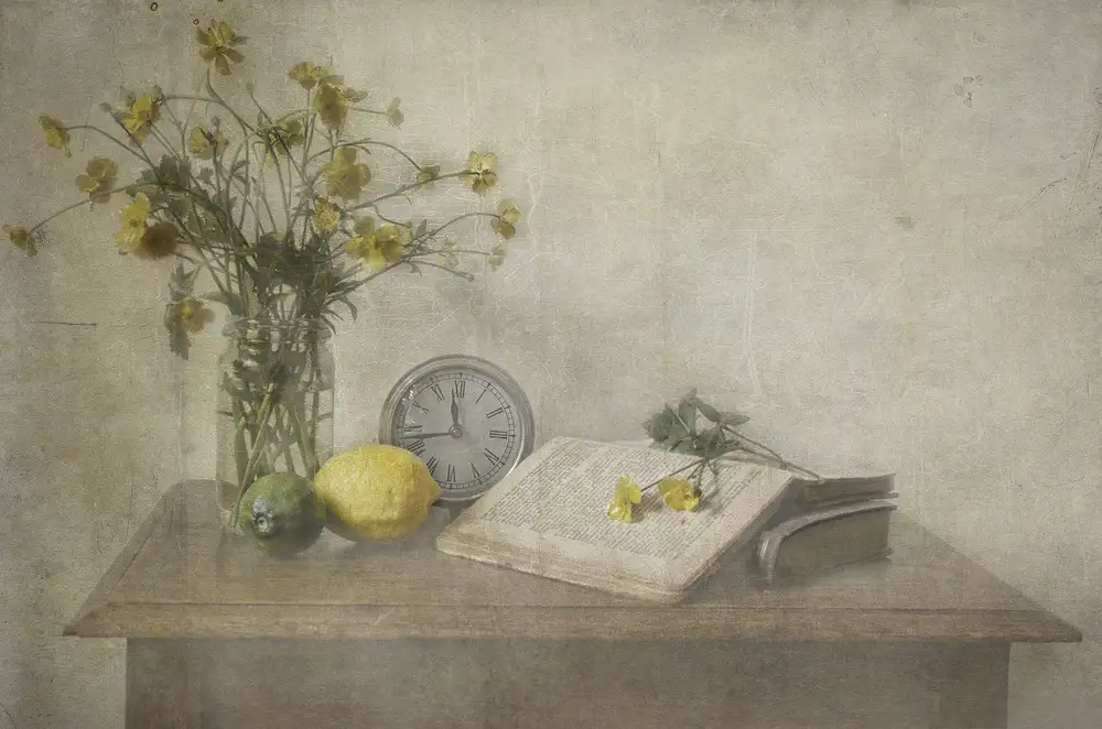 Gugeri, Deborah: Lemon still life
