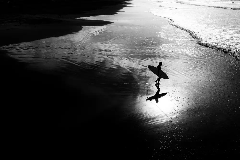 Latta, Della Massimo: Surf 11