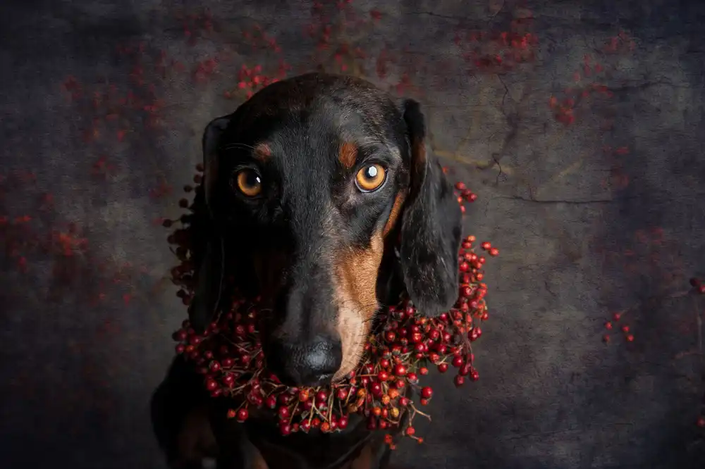 Willers, Heike: To Autumn