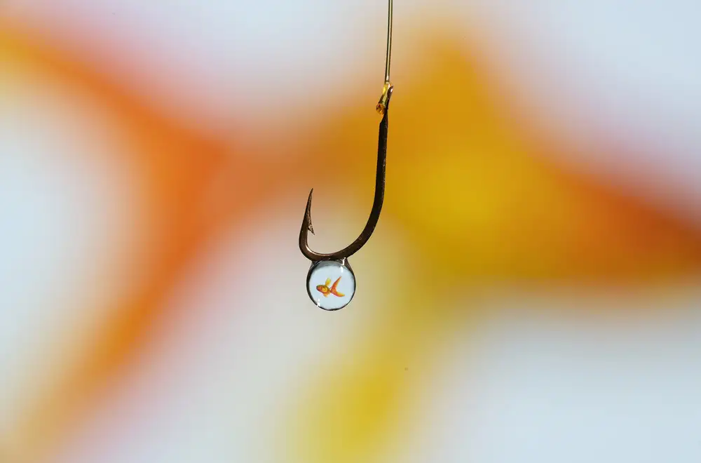 Sent, Cesare: gold fish