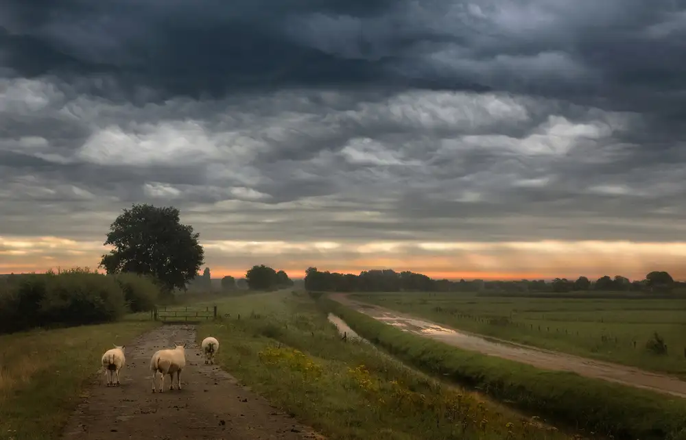 Talen, Nel: Mávání mraky