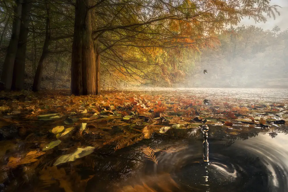 Panizza, Ghizzi Alberto: Drops between the autumn colors
