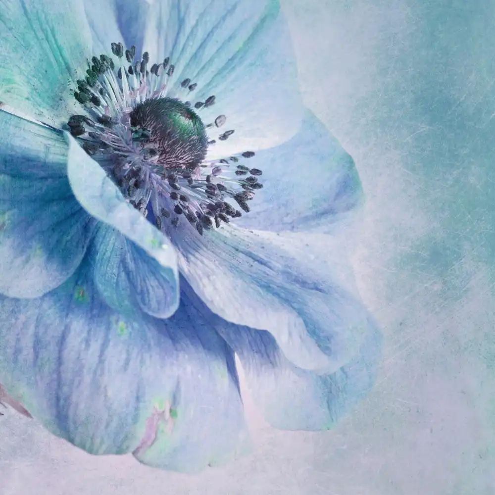 Wettstein, Priska: Shades of Blue
