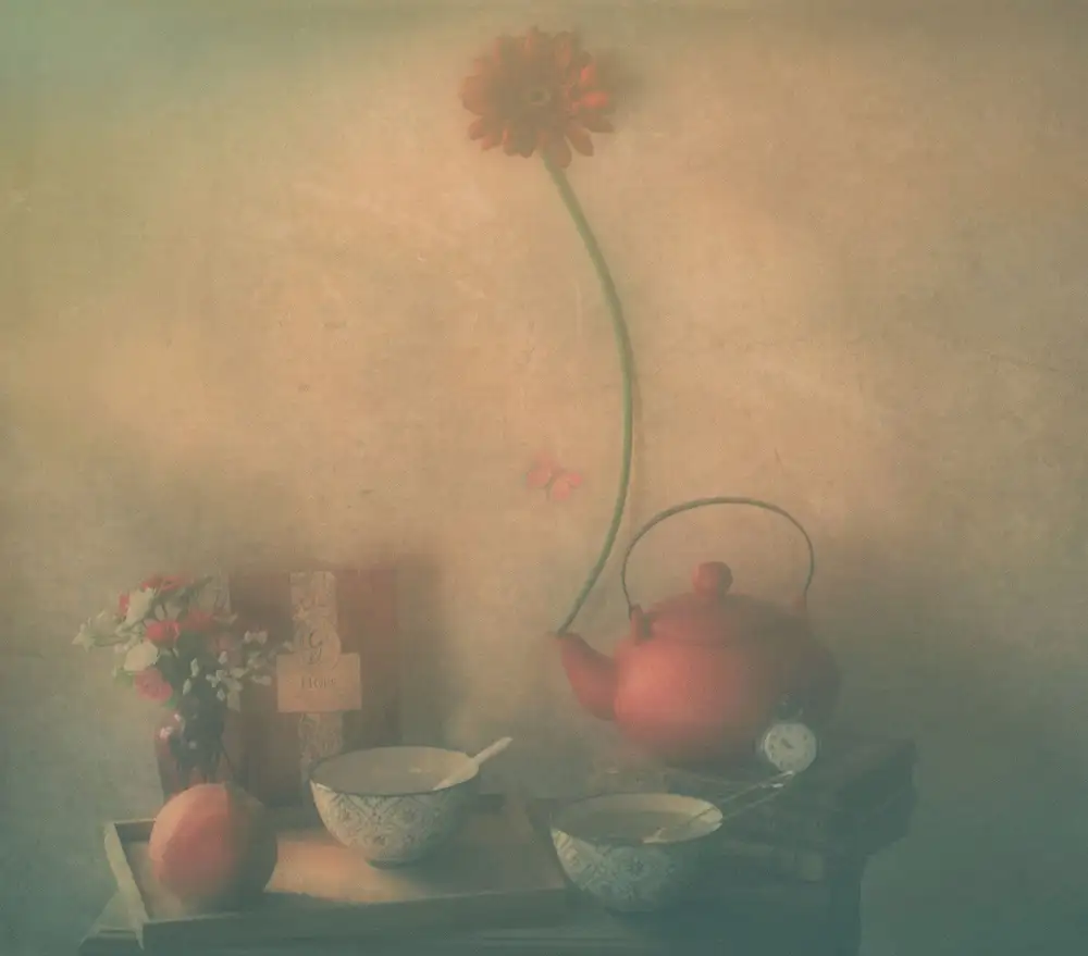 Devos, Delphine: Tea For Two...