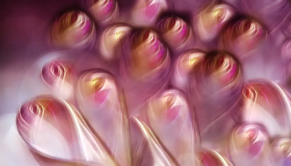 Westum, Heidi: Rosebuds