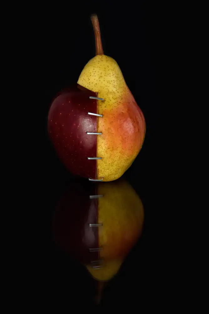 Fabiano, Alessandro: Apple/Pear OGM II