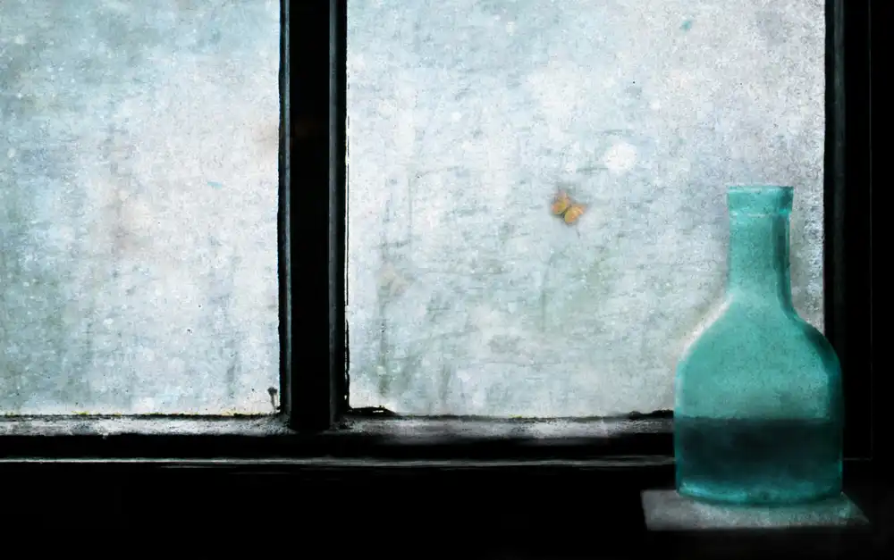 Devos, Delphine: Die blaue Flasche und der Schmetterling