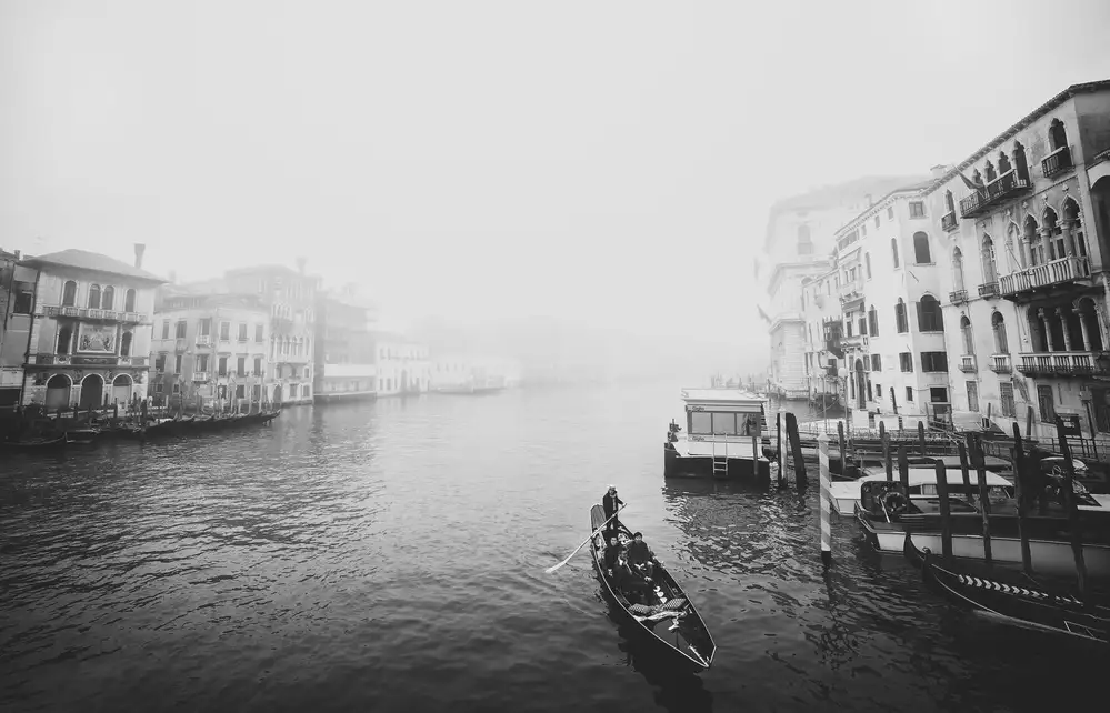 Pajic, Samir: Venezia