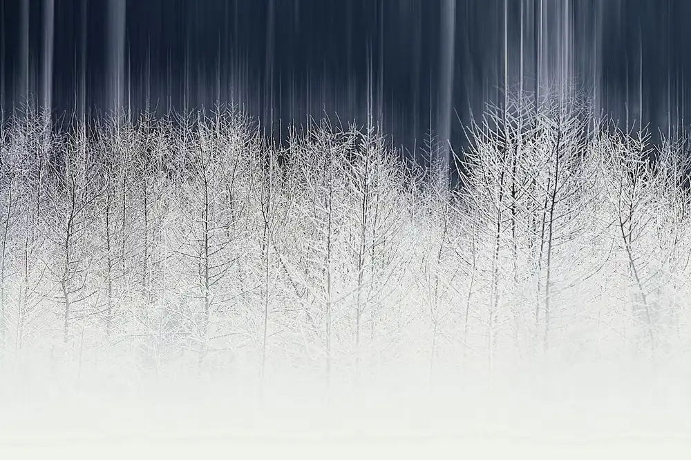 Mijer, Wil: Winterfairy