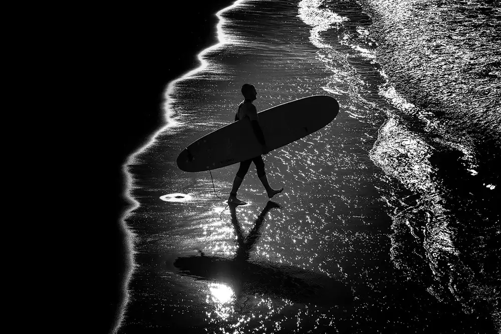 Latta, Della Massimo: Surf 9