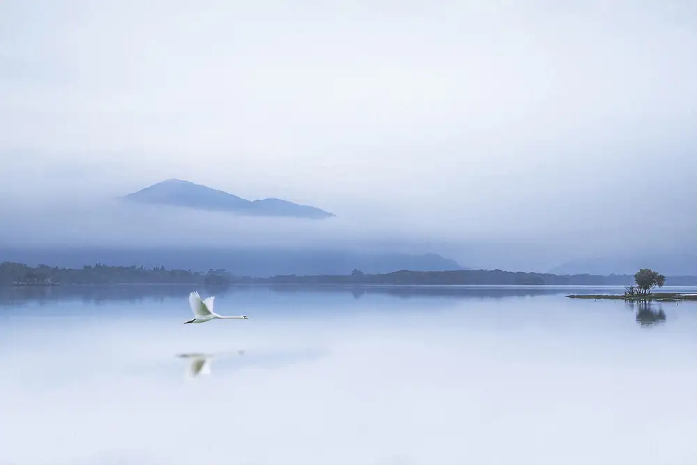 Mahony, O Kieran: TRANQUILITY
