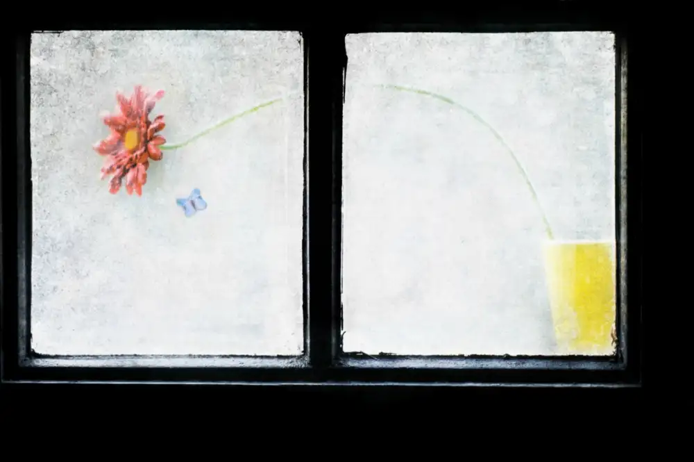 Devos, Delphine: Waiting for Spring
