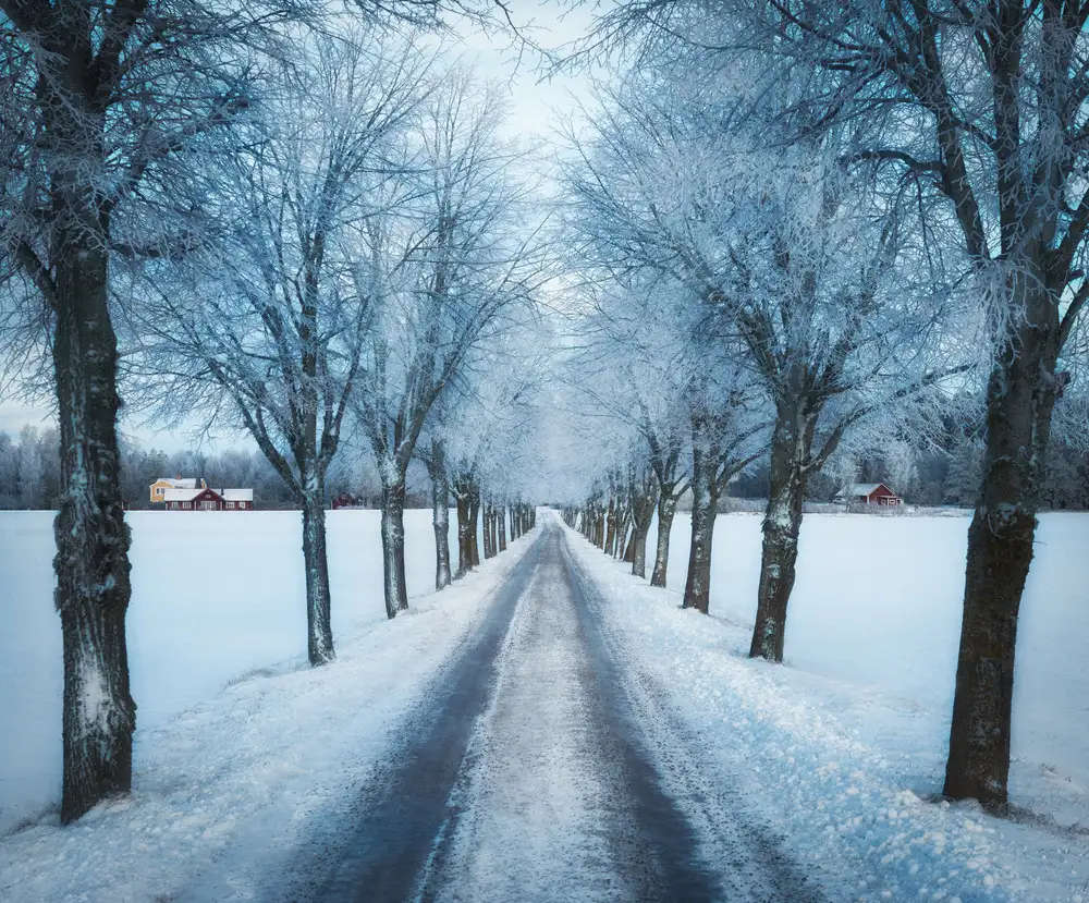 Lindsten, Christian: Swedish winter