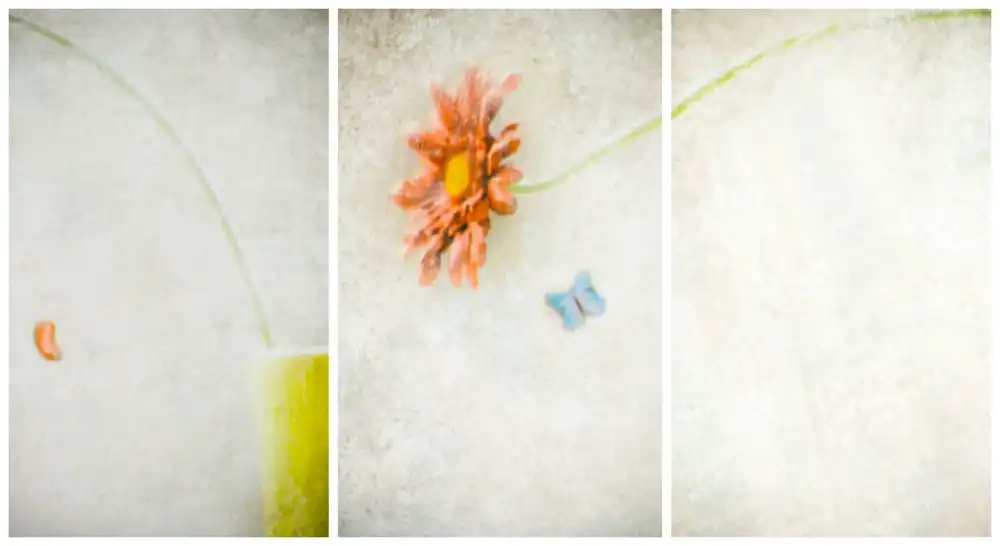 Devos, Delphine: Čekání na jaro (Triptych)