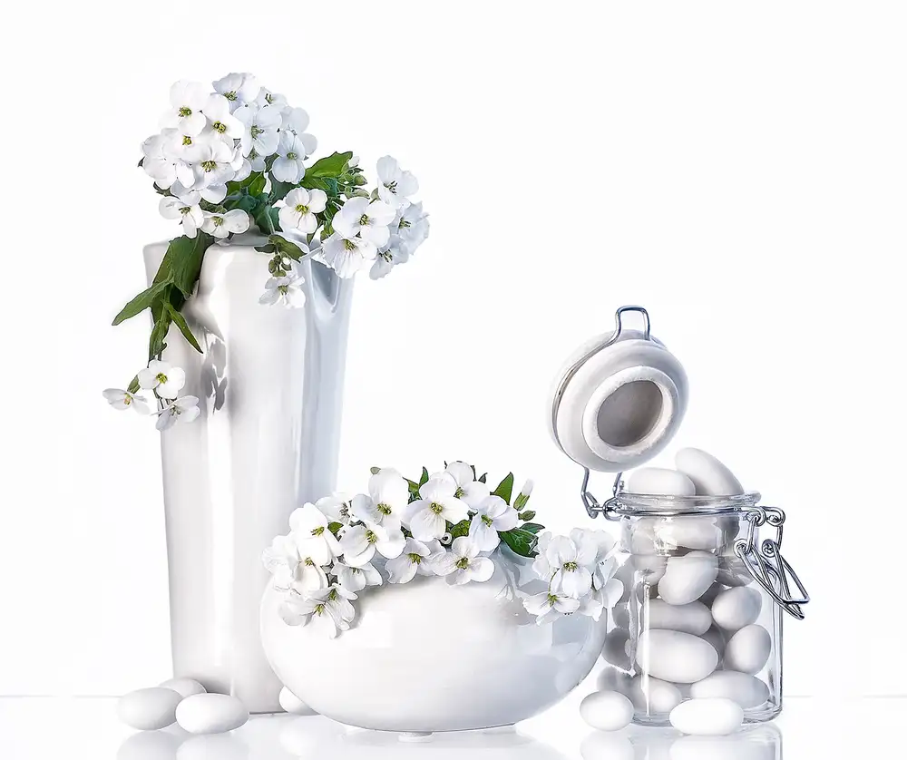 Ianeva, Aida: Still life in white