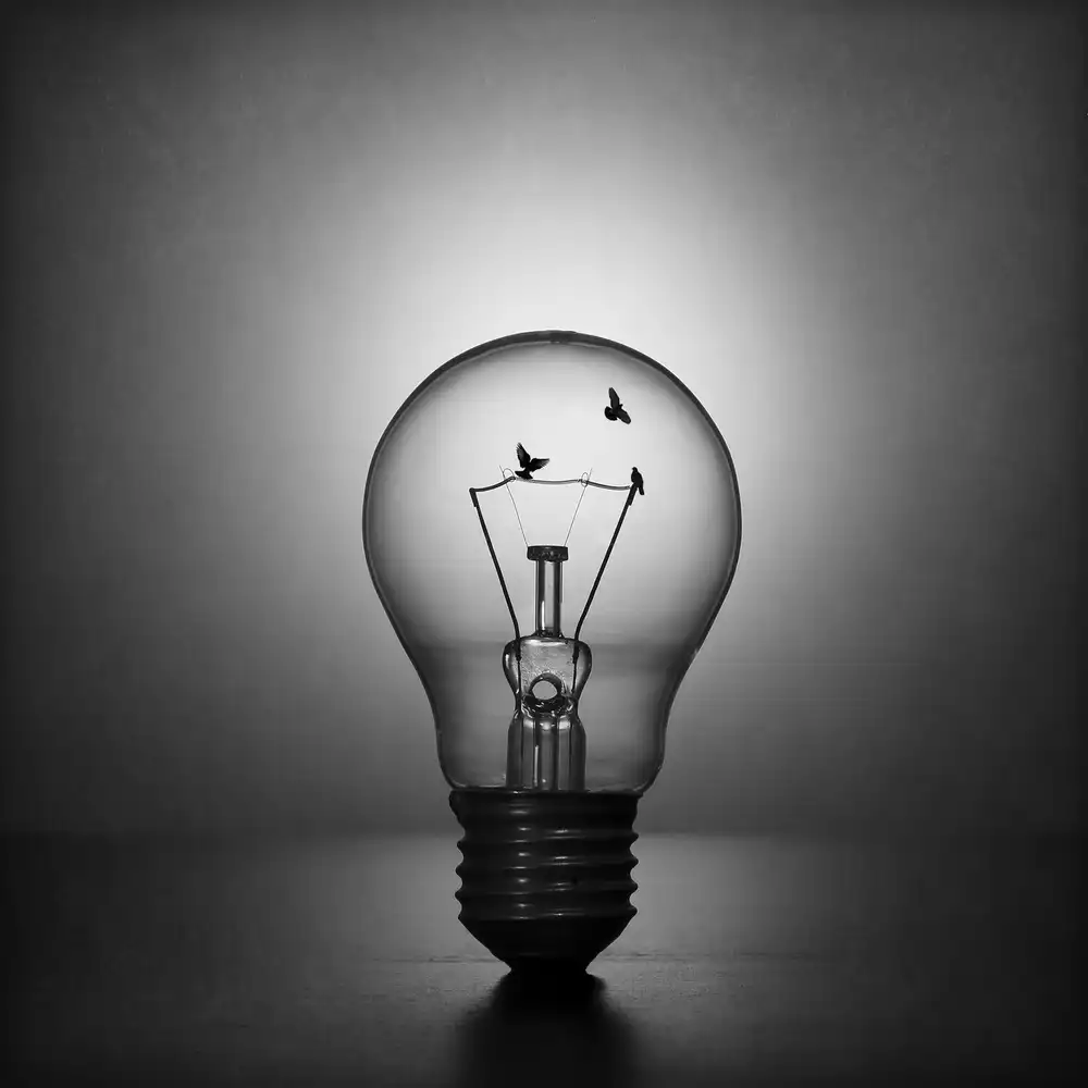 Glinka, Victoria: Fly to the light