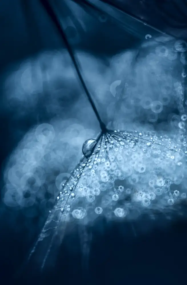 Blagoeva, Ivelina: Blue